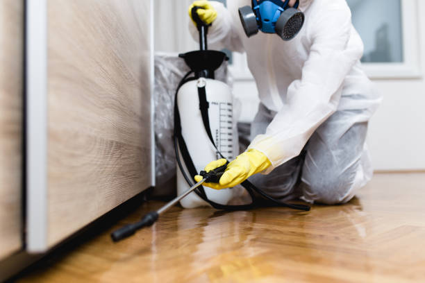 Best Affordable Pest Control Services  in South Shore, KY