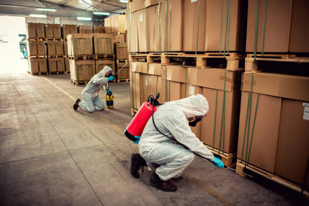 Best Pest Removal Services  in South Shore, KY