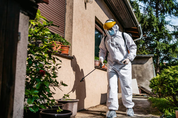 Best Pest Prevention Services  in South Shore, KY