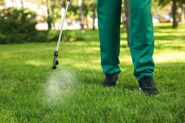 Best Best Pest Control Companies  in South Shore, KY