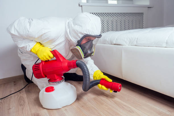 Best Pest Inspection Near Me  in South Shore, KY