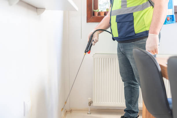 Best Affordable Pest Control Services  in South Shore, KY