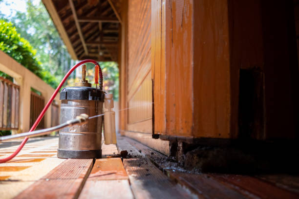 Best Pest Control for Restaurants  in South Shore, KY