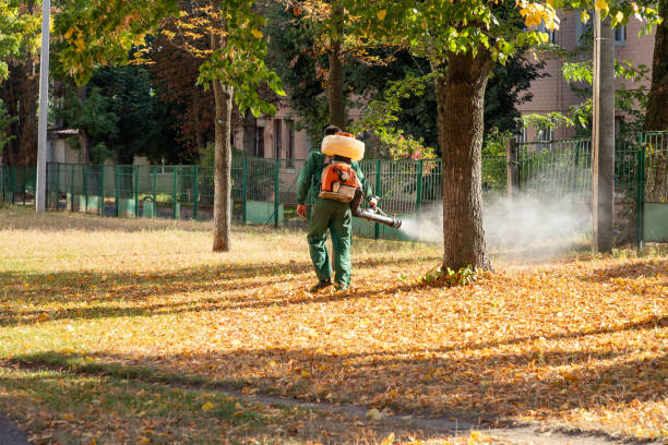 Best Insect Control  in South Shore, KY