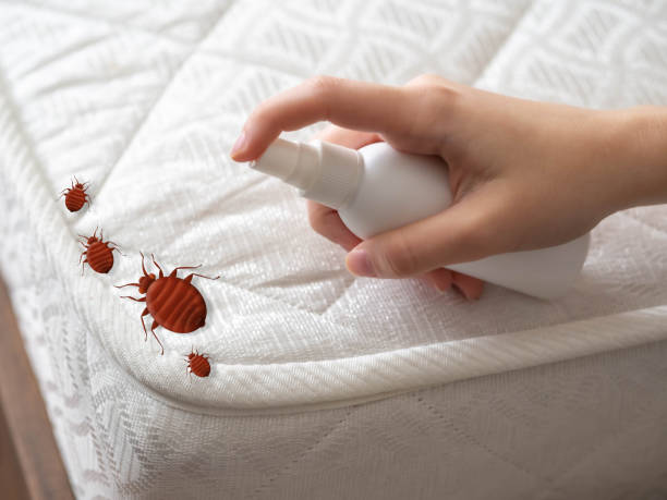 Best Best Pest Control Companies  in South Shore, KY