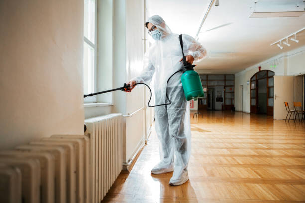 Best Best Pest Control Companies  in South Shore, KY